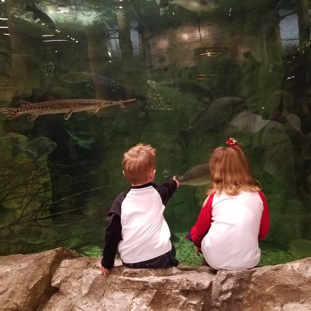 Meet your Posher, Jeanne